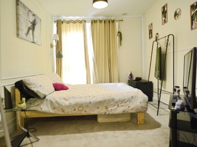 Picture 11